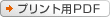 vgpPDF